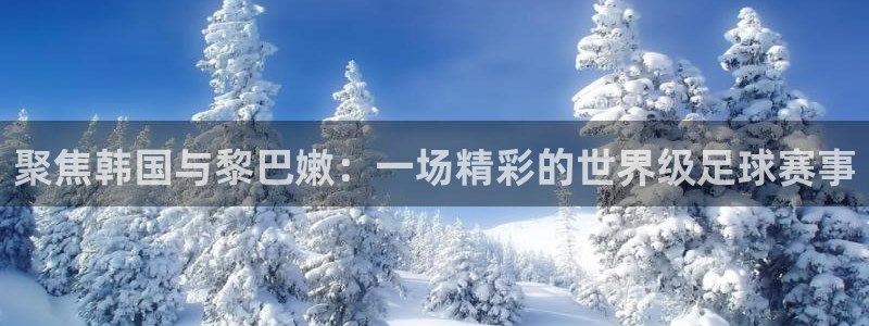 聚焦韩国与黎巴嫩：一场精彩的世界级足球赛事