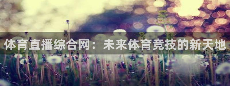 体育直播综合网：未来体育竞技的新天地
