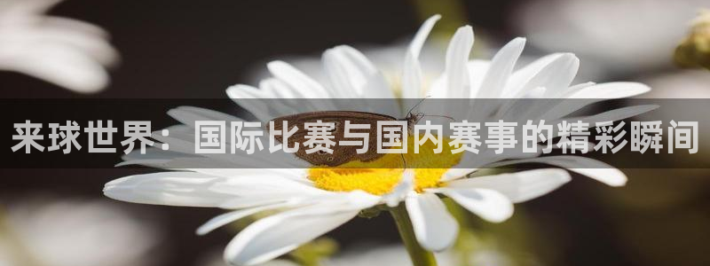 来球世界：国际比赛与国内赛事的精彩瞬间