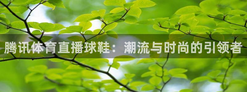腾讯体育直播球鞋：潮流与时尚的引领者