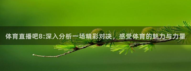 体育直播吧8:深入分析一场精彩对决，感受体育的魅力与力量