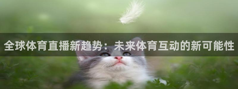 全球体育直播新趋势：未来体育互动的新可能性