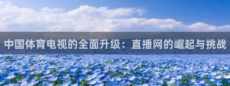 中国体育电视的全面升级：直播网的崛起与挑战