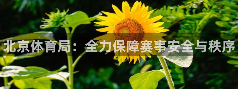 北京体育局：全力保障赛事安全与秩序