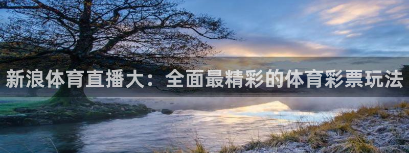 新浪体育直播大：全面最精彩的体育彩票玩法