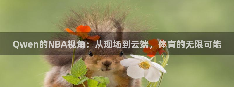Qwen的NBA视角：从现场到云端，体育的无限可能