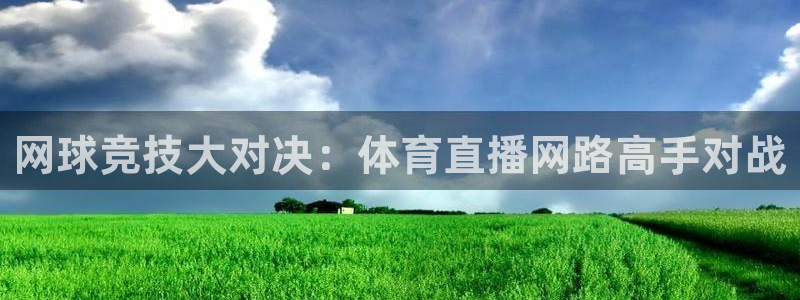 网球竞技大对决：体育直播网路高手对战