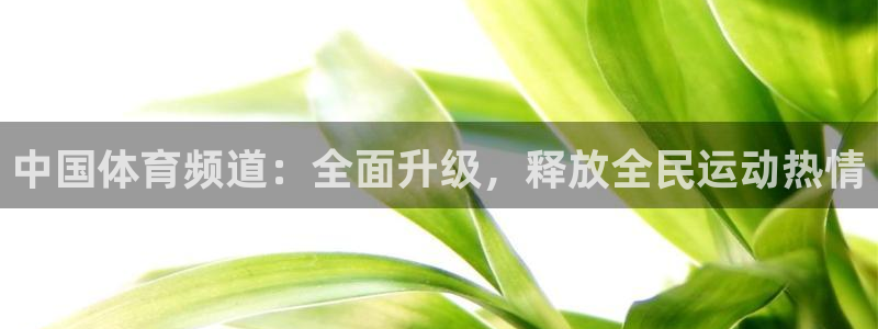 中国体育频道：全面升级，释放全民运动热情