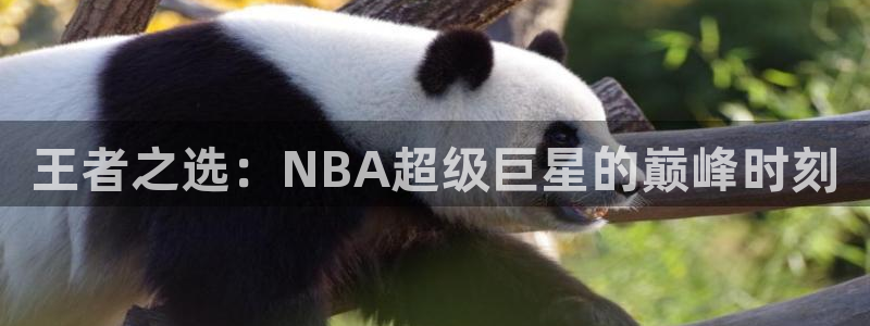 王者之选：NBA超级巨星的巅峰时刻