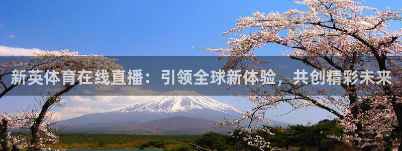 新英体育在线直播：引领全球新体验，共创精彩未来