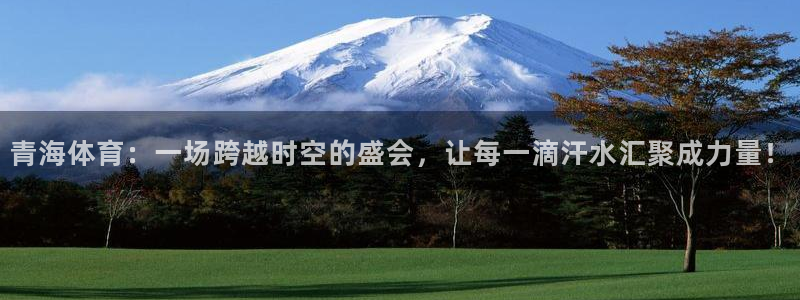 青海体育：一场跨越时空的盛会，让每一滴汗水汇聚成力量！